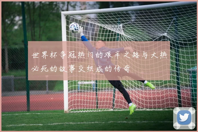 世界杯争冠热门的艰辛之路与大热必死的故事交织成的传奇