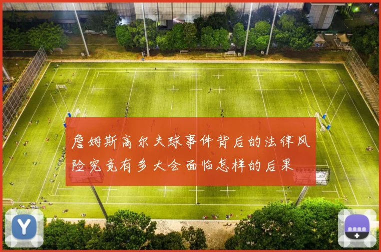 詹姆斯高尔夫球事件背后的法律风险究竟有多大会面临怎样的后果